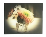glass picture